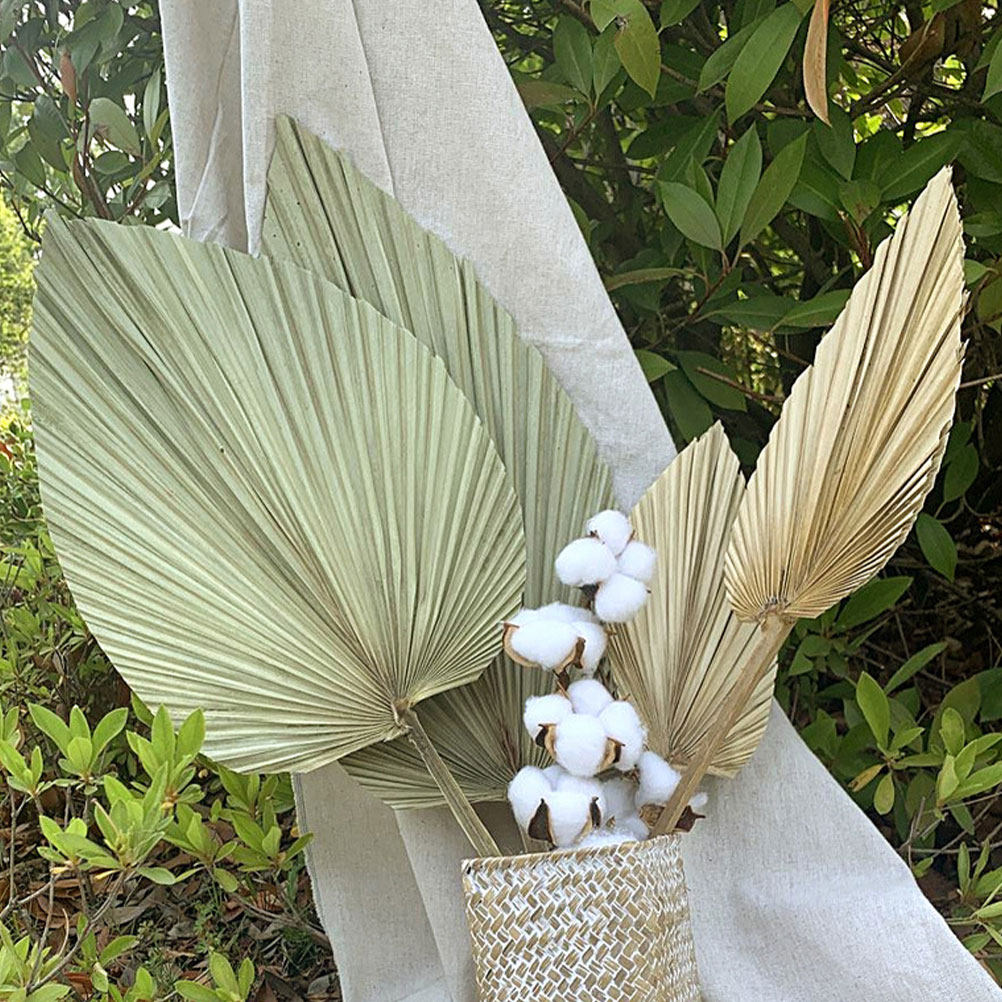 Palm Leaf Dried - 1個入り天然乾燥ヤシの葉装飾 オリーブ色 軽量 ウェディングパーティー 壁掛け 鮮やかなホームデコレーション