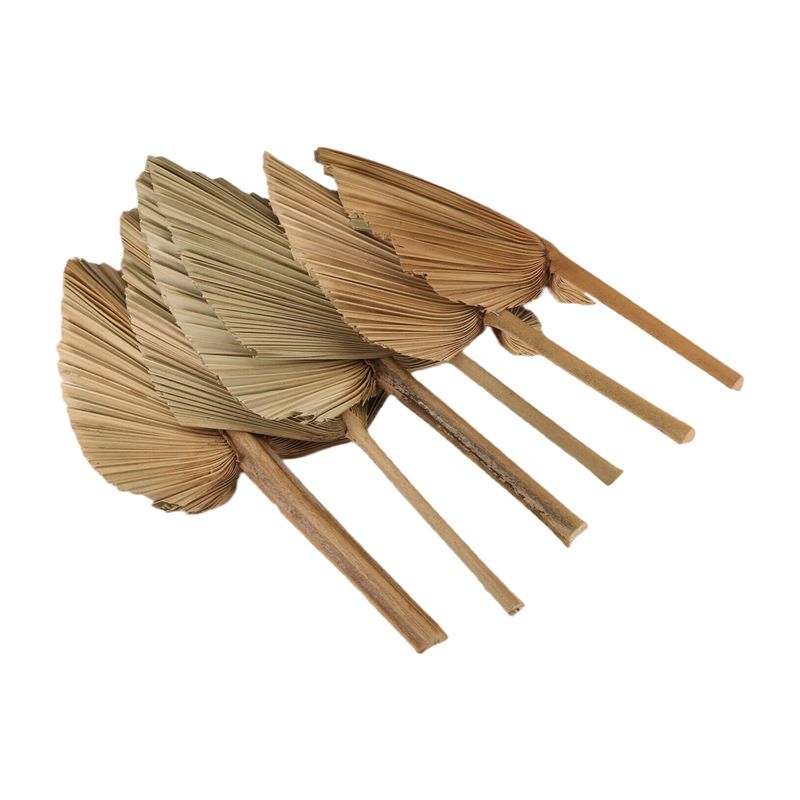 Palm Leaf Dried - ABKO-6PCS ドライパームリーフ 天然乾燥パームファン、ボヘミアンウェディングデコレーション用大型パームスピア、トロピカルパームリーフデコレーション デュラ