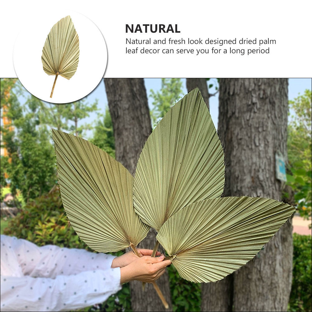 1個入り天然乾燥ヤシの葉装飾 オリーブ色 軽量 ウェディング - Palm Leaf Dried のレビューと価格