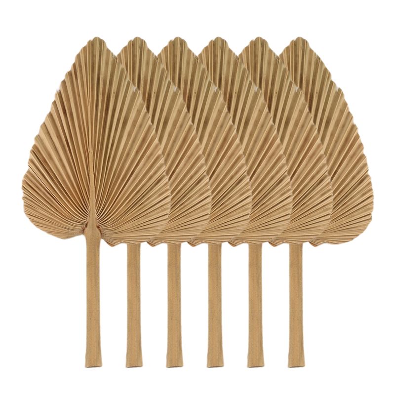 AT84-6PCS ドライパームリーフ 天然乾燥パームファン - Palm Leaf Dried のレビューと価格