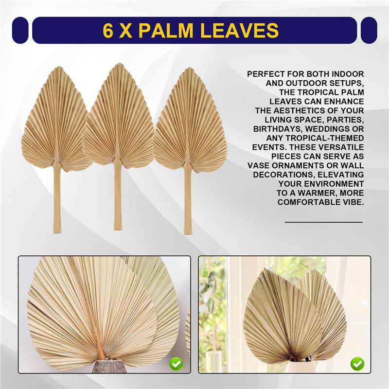 AT84-6PCS ドライパームリーフ 天然乾燥パームファン - Palm Leaf Dried のレビューと価格