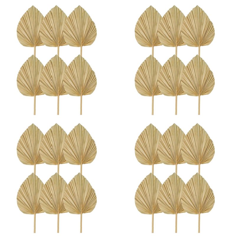 【クリスマス】24枚入り乾燥ヤシの葉、天然乾燥ヤシの葉扇子、 - Palm Leaf Dried のレビューと価格