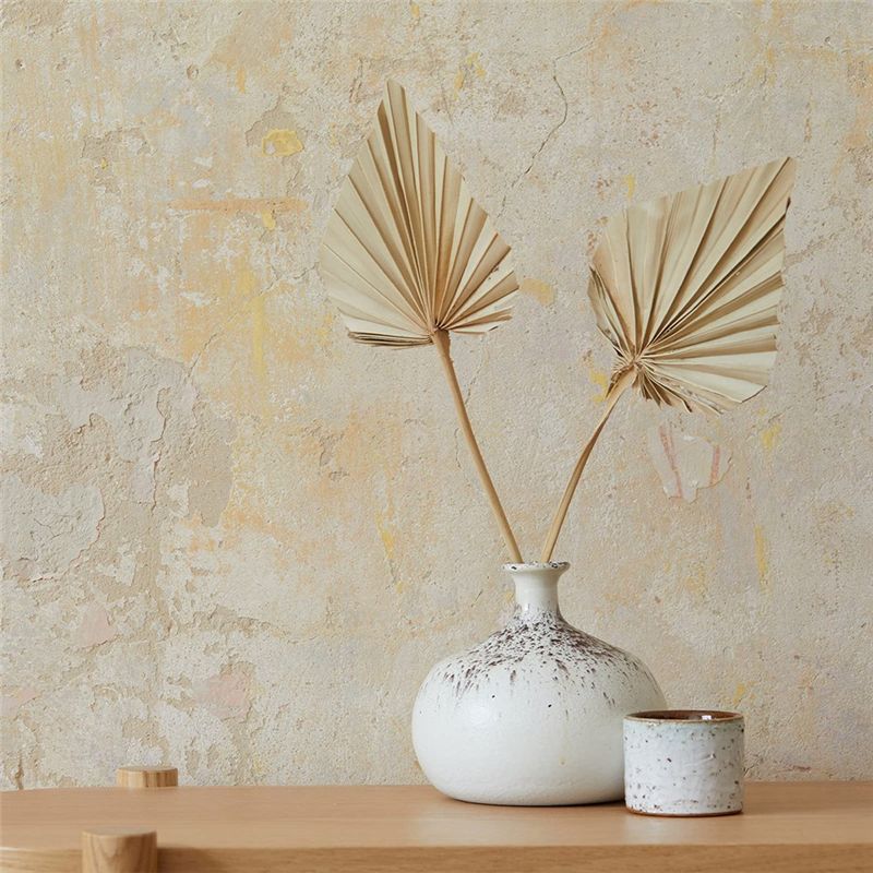 ABYN-ボホ風ドライパームスピア、小さな天然乾燥パームファ - Palm Leaf Dried のレビューと価格