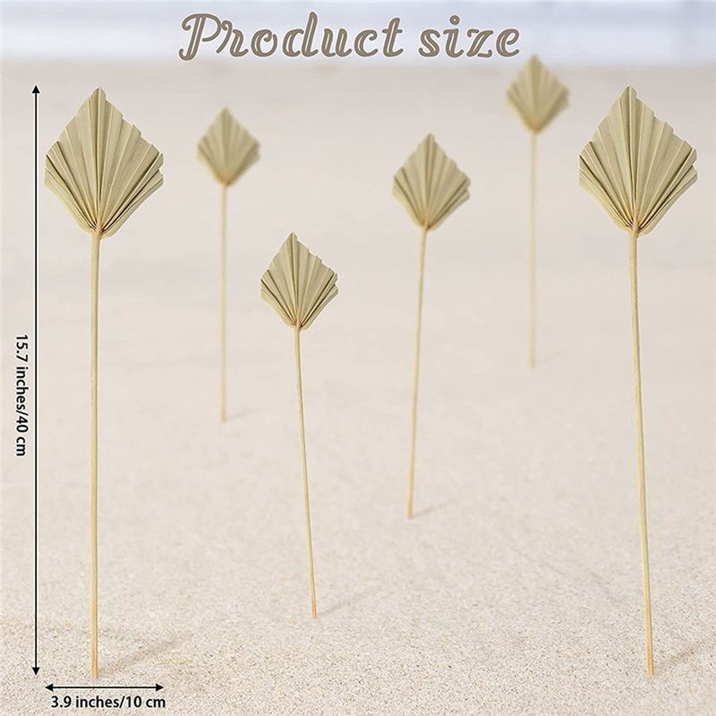 A36T-30個 ボホ風ドライパームスピア ナチュラルドライ - Palm Leaf Dried のレビューと価格