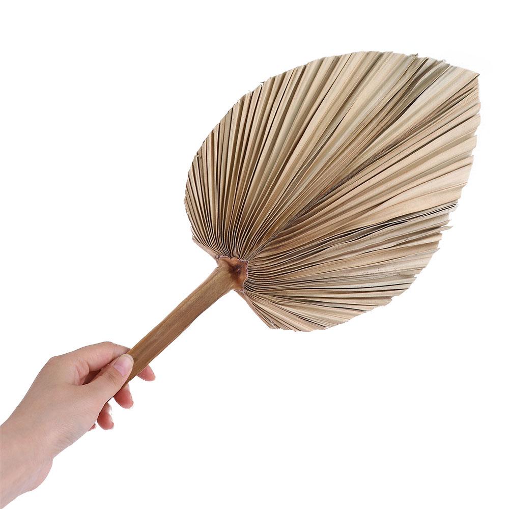 パーティーオフィス ボヘミアン風 トリム加工 ボヘミアン ナ - Palm Leaf Dried のレビューと価格