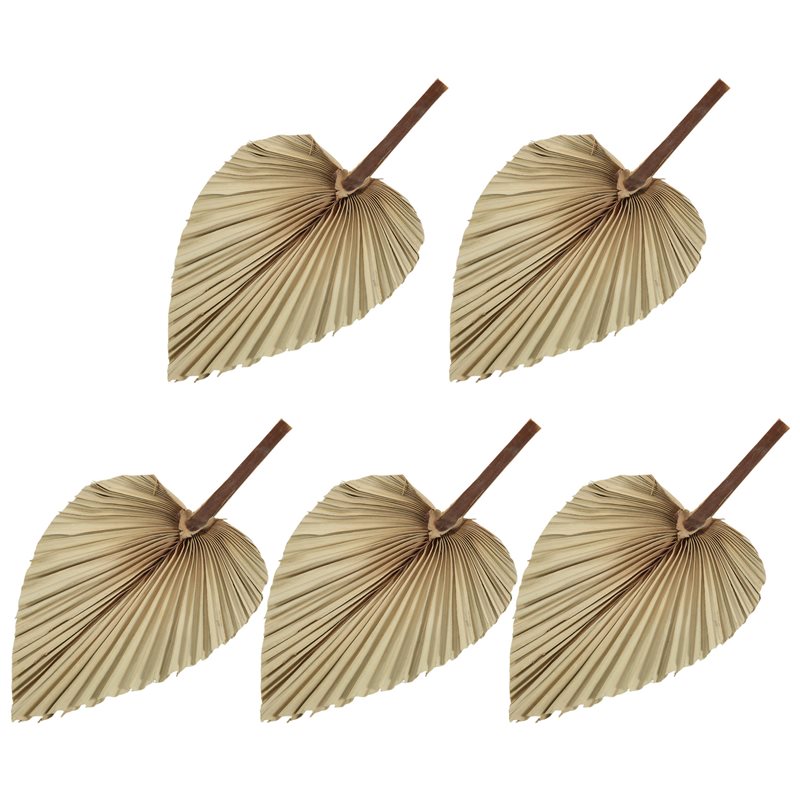 SEWS-5個入り天然乾燥ヤシの葉 トロピカルドライヤシの葉 - Palm Leaf Dried のレビューと価格
