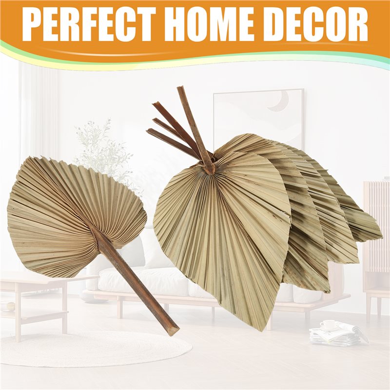 SEWS-5個入り天然乾燥ヤシの葉 トロピカルドライヤシの葉 - Palm Leaf Dried のレビューと価格