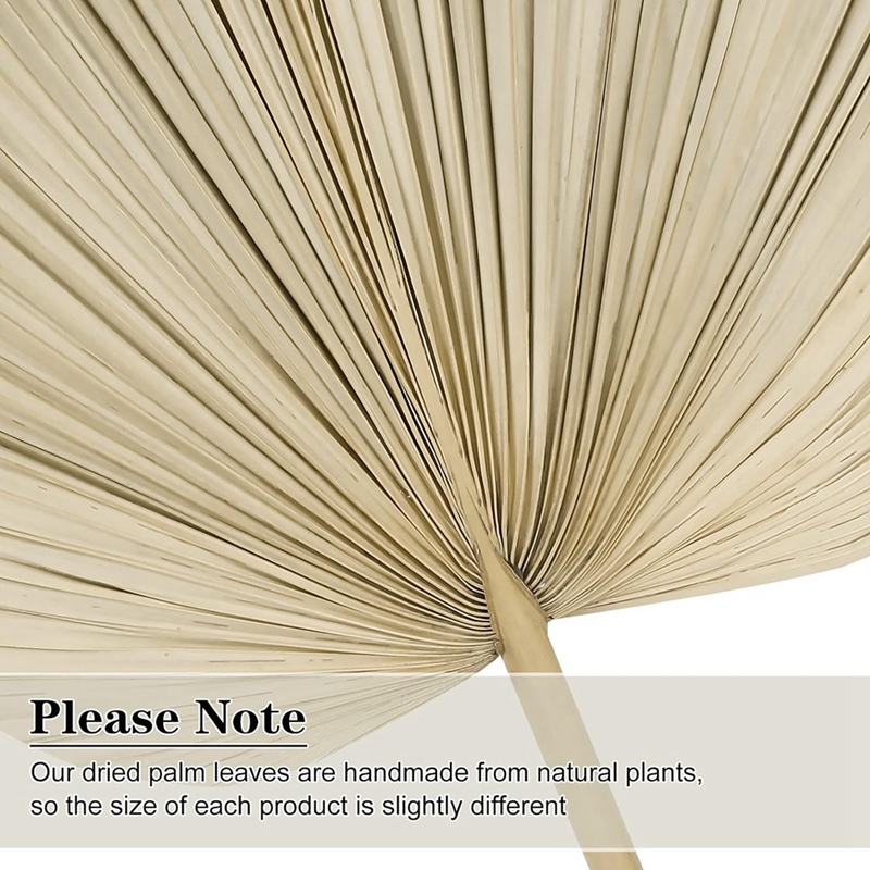 新しい 6 個の乾燥ヤシの葉天然乾燥ヤシのファン、自由奔放に - Palm Leaf Dried のレビューと価格