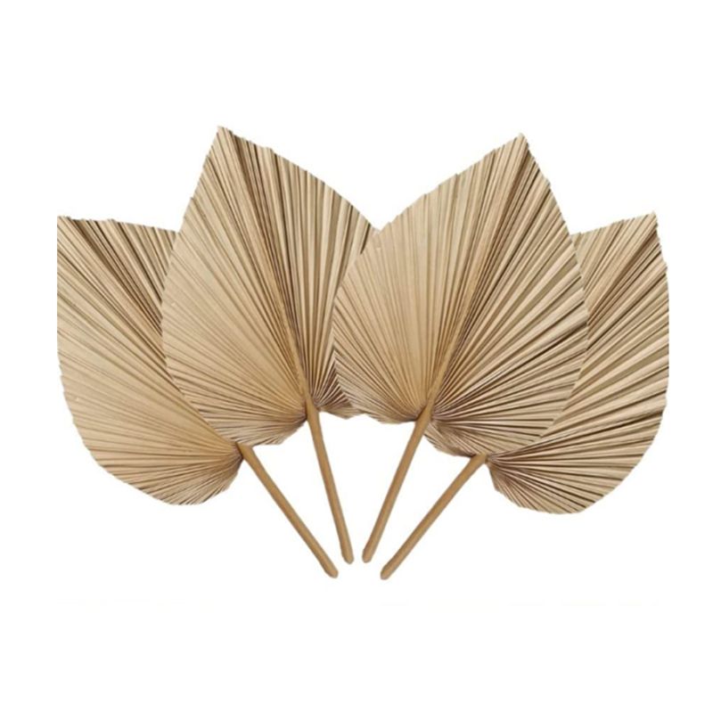A27F-6個入り 天然トロピカルドライパームリーフデコレー - Palm Leaf Dried のレビューと価格