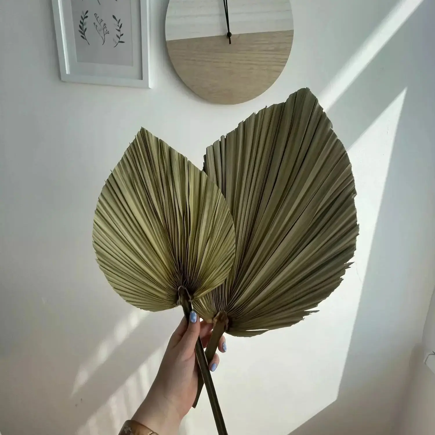 天然乾燥ヤシの葉、DIYドライフラワーブーケ、扇形の葉、パー - Palm Leaf Dried のレビューと価格