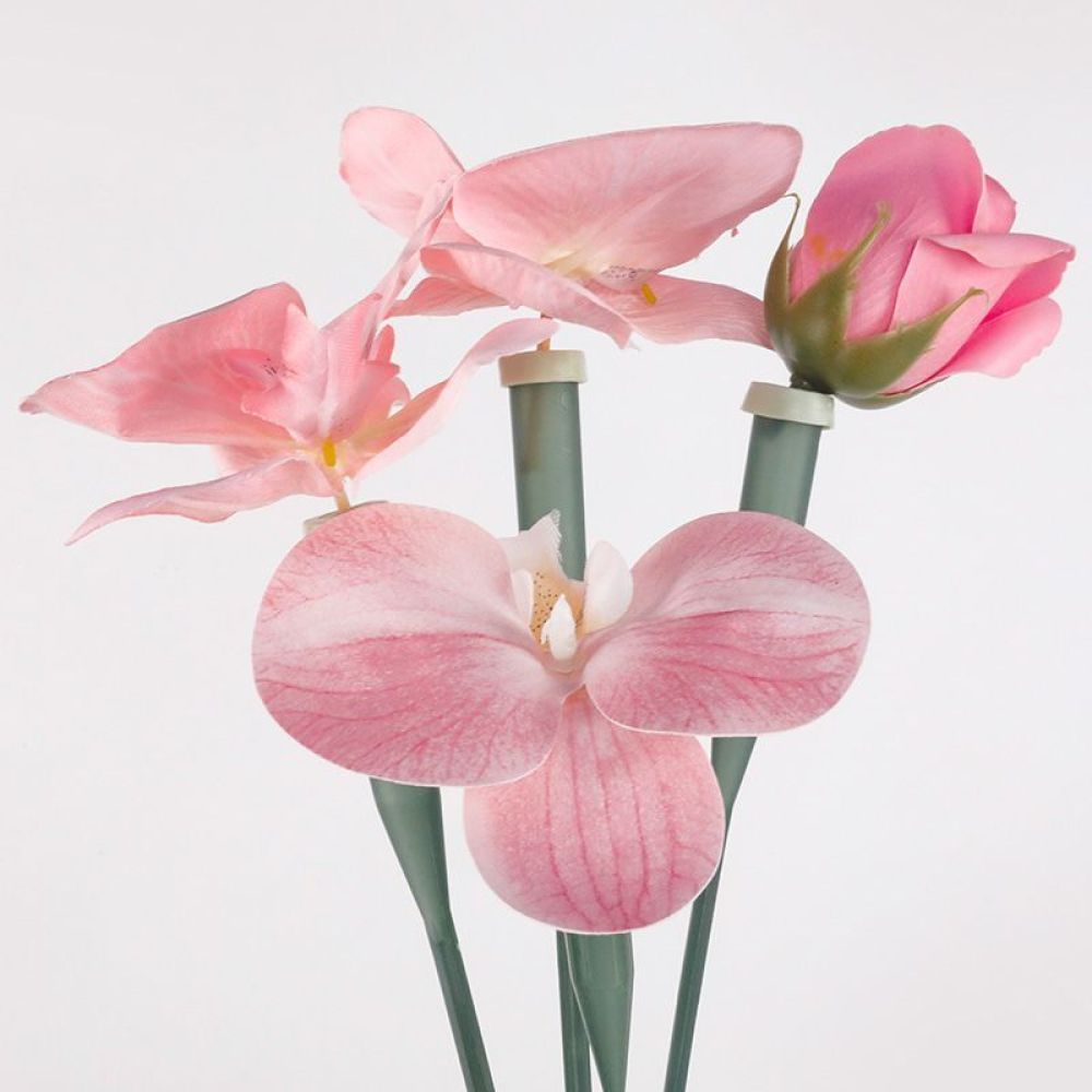 花用保存剤チューブ 透明プラスチックバイアル 生花ブーケ用  - Florist Supply Shop のレビューと価格