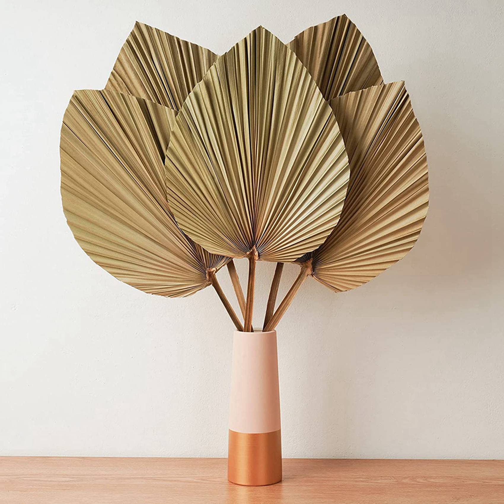 乾燥パームリーフのルームデコレーション 10枚セット - 高 - Palm Leaf Dried のレビューと価格